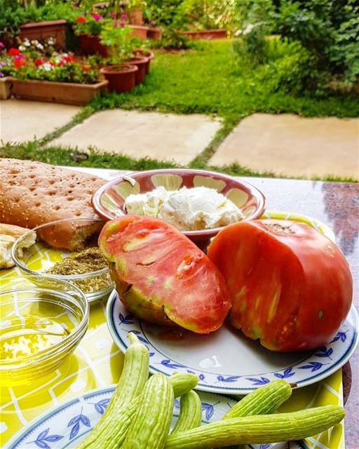 The Traditional Lebanese breakfast.... zahle zahleh lebanon zaatar... (Zahlé, Lebanon)