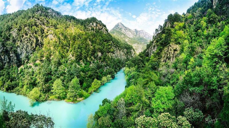 the view  lake  forest  lebanon  green  nature  snapshot  photo  photos ... (Chouwen Lake)