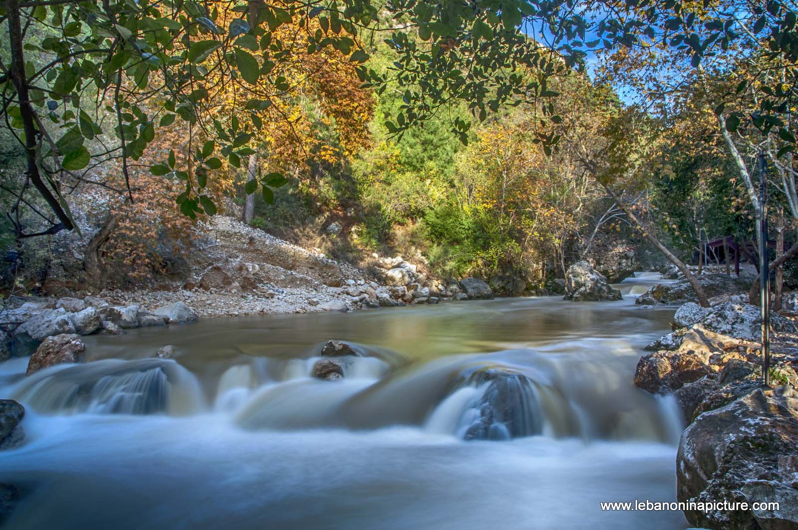 The Water Raging and Flowing and The Trees Slowly Going Into Sleep Waiting for Spring to Come  (Nahr Ibrahim, Lebanon)