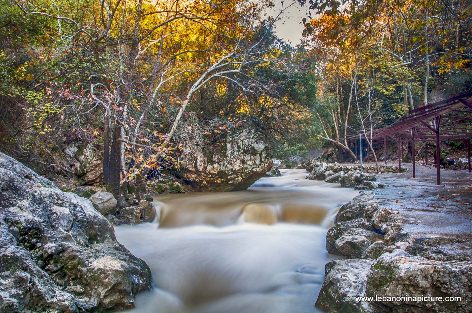 The Water Raging and Flowing and The Trees Slowly Going Into Sleep Waiting for Spring to Come  (Nahr Ibrahim, Lebanon)