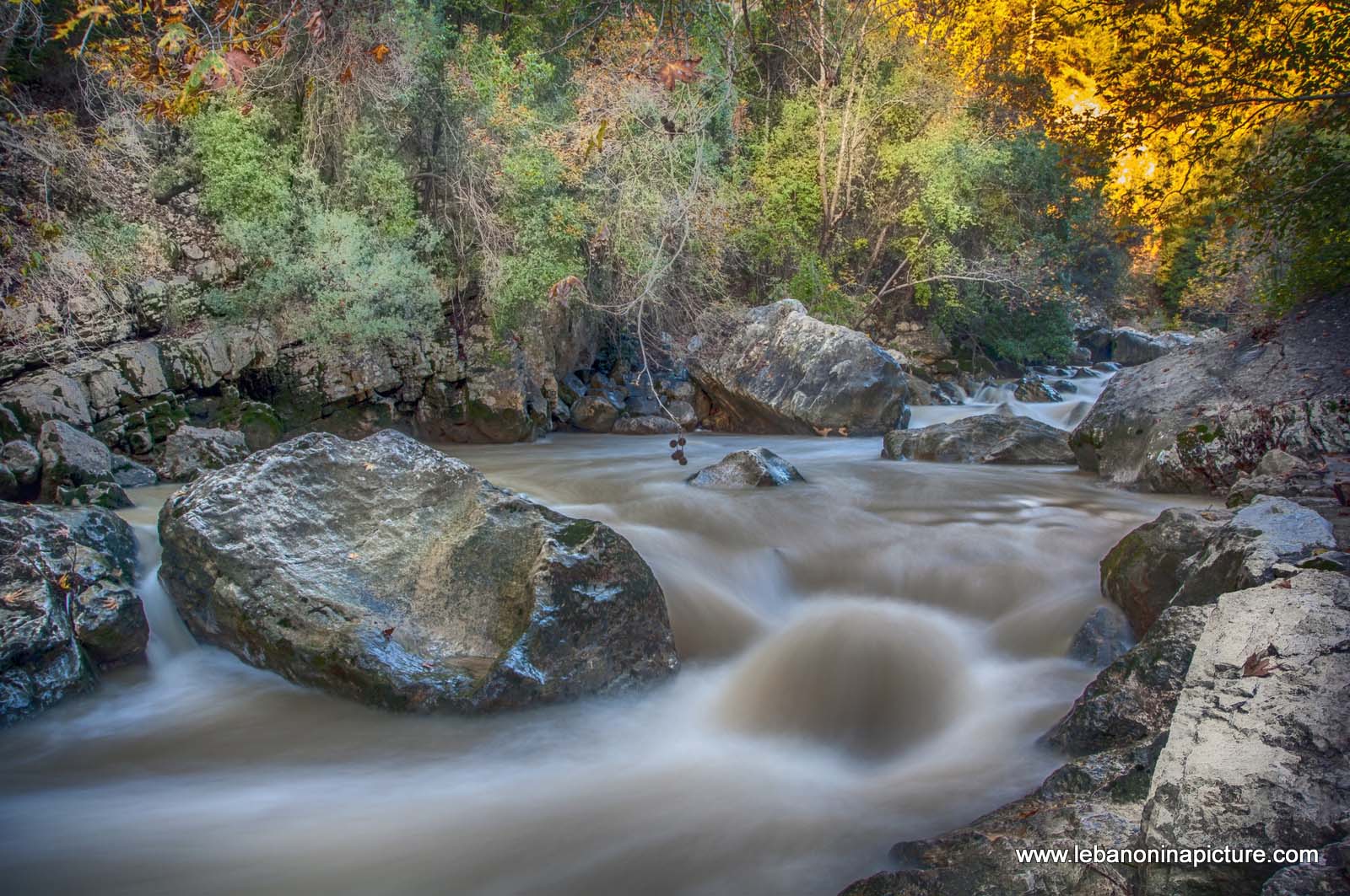 The Water Raging and Flowing and The Trees Slowly Going Into Sleep Waiting for Spring to Come  (Nahr Ibrahim, Lebanon)