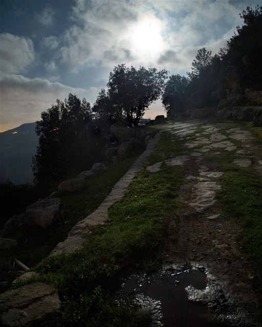 "There are nights when the wolves are silent and only the moon howls"~... (Chouf)