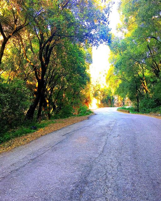 " There Comes A Time In Your Life When You Have To Make Certain... (Hamâte, Liban-Nord, Lebanon)