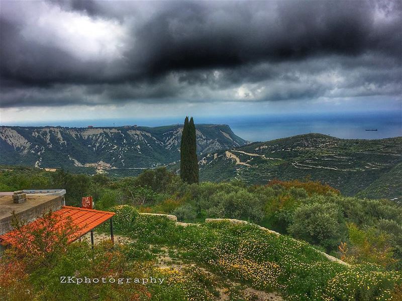 There is a sacredness in tears. They are not the mark of weakness, but of... (Ra'S Nhash, Liban-Nord, Lebanon)