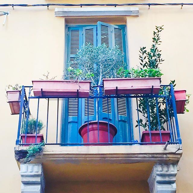 There is a story behind each window... Good morning everyone! Have a great day☀️☕️🇱🇧! (Achrafieh, Beirut)