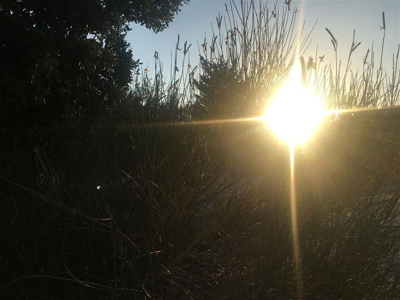 there is sunshine in my soul today ☀️☀️ summertime positivevibes justrelax... (Feitroun, Mont-Liban, Lebanon)