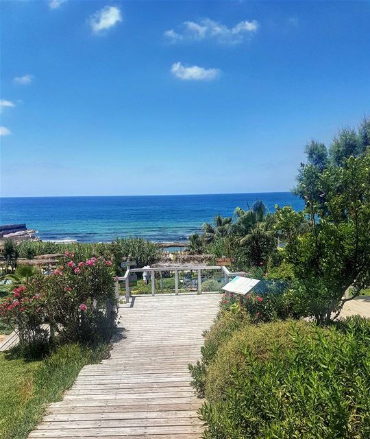 There's just one way... ... lebanon  beach  summer  sun  sea  nature ...