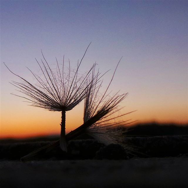 There's never one sunrise the same or one sunset the same. nikontop_ ... (Baakline, Mont-Liban, Lebanon)