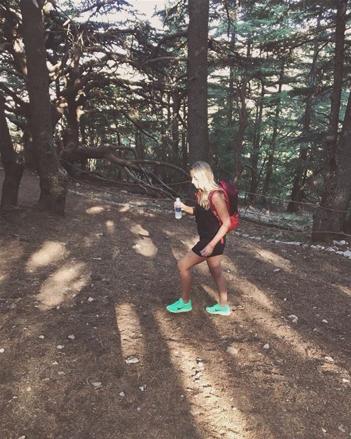 Thirsty work ... discoveringlebanon ... lucyinlebanon 💚 (Al Shouf Cedar Nature Reserve)