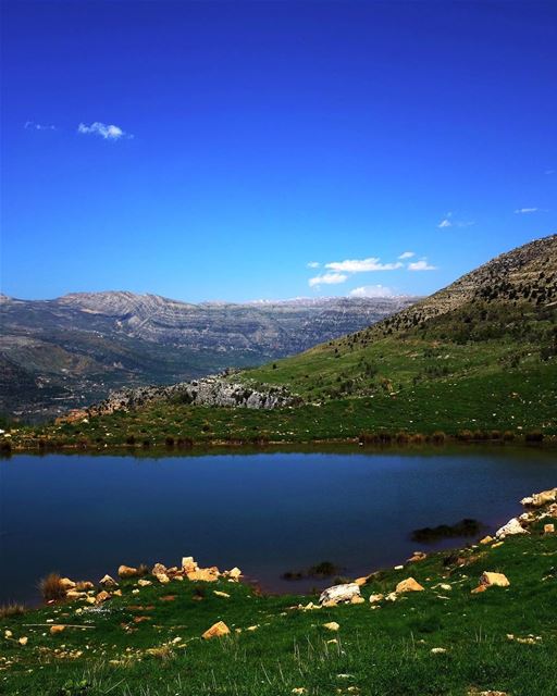 This Green and Pleasant Land. And so we wake this morning to read that... (Hrâjel, Mont-Liban, Lebanon)