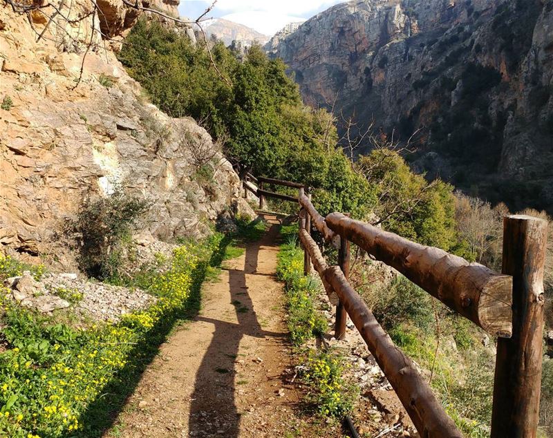 This is all I'm thinking about today 🏔️🍃☀️🌿 What's on your mind? (Kadisha Valley)