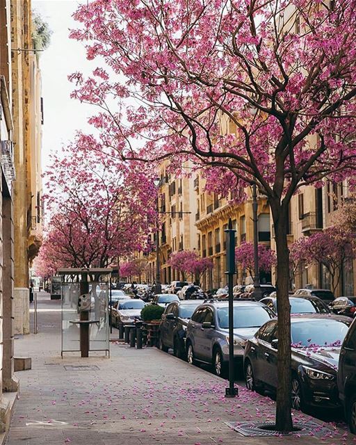 This is how Beirut steals your heart away 🌸🌸🌸By @elenakukoleva ... (Downtown Beirut)