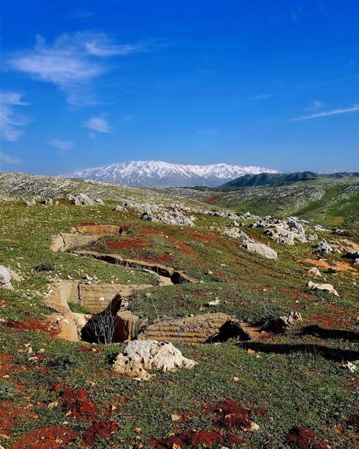 This Means War. So there we were, high up in the hills above Lake Qaraoun,... (Qaraaoun, Béqaa, Lebanon)