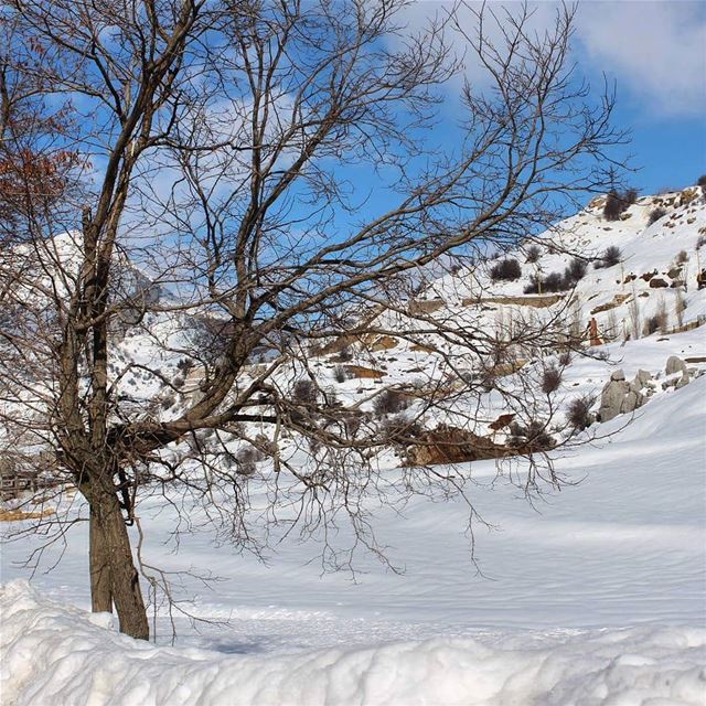 Those fresh powder ...🤗Just got so excited for winter 😍🎅⛄❄💞  laqlouq ... (El Laklouk, Mont-Liban, Lebanon)