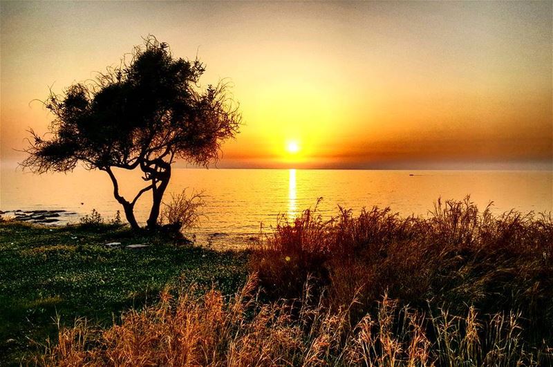  throwback to this beautiful  sunset in Lebanon 🌅 livelovebyblos...