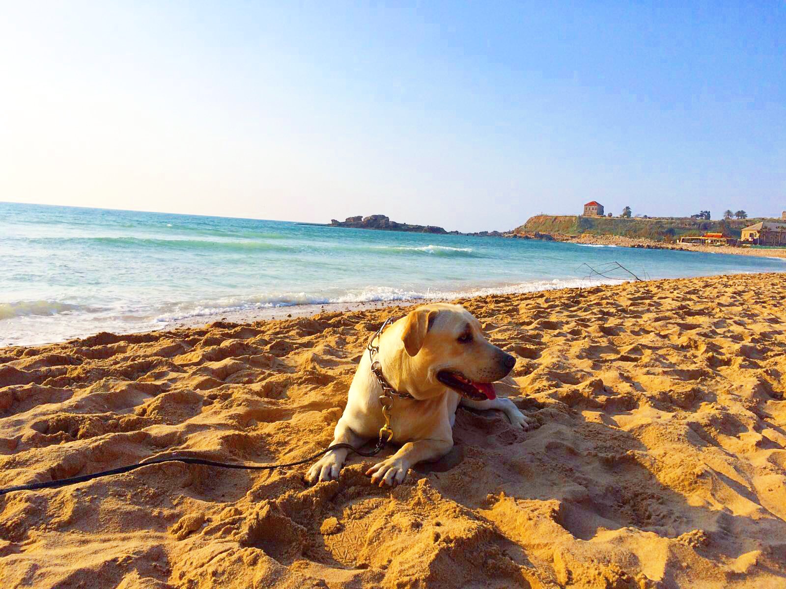 Tima enjoying Byblos Sunset