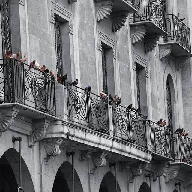 Time for a break..... blackandwhite architecture... (Downtown Beirut)
