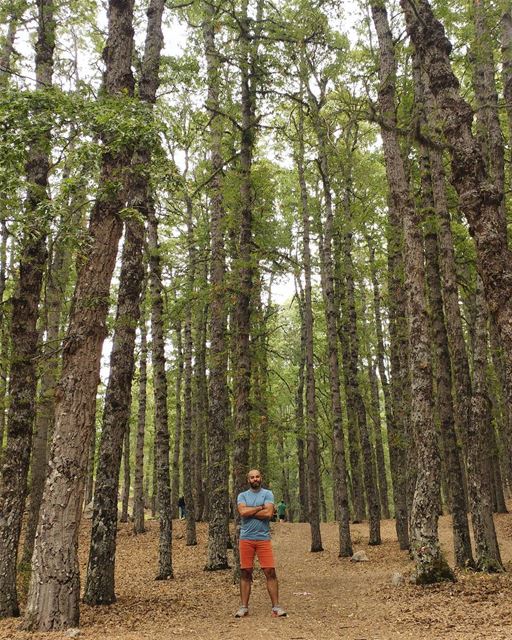 Tiny🚶in a Big 🌲🌲 (Fnaïdek, Liban-Nord, Lebanon)