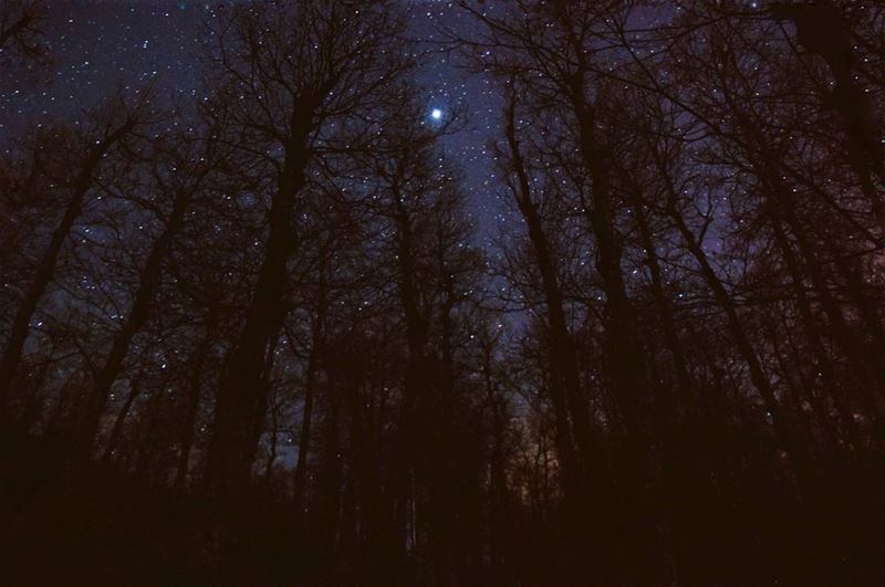 To the stars who listen and the dreams that are answered 🌌........ (Aakar, Liban-Nord, Lebanon)