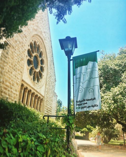  tobacco  free  aub  2018  lebanon🇱🇧 (American University of Beirut (AUB))