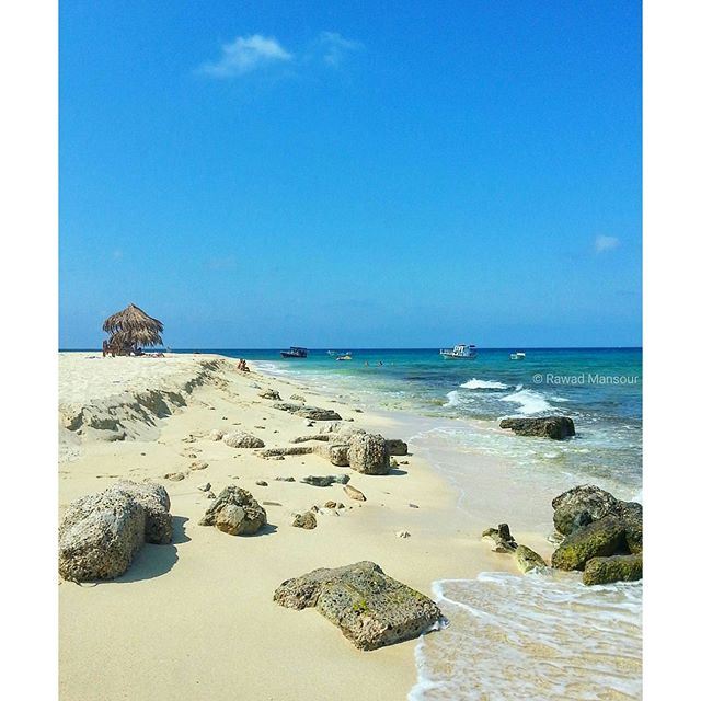 Today (March 10) is the National Day for Natural Reserves & Protected Areas 🌴 @RabbitsIsland is considered a protected site by UNESCO since 1992. Photo by @plus961 @livelove_tripoli (Rabbit Island Tripoli)