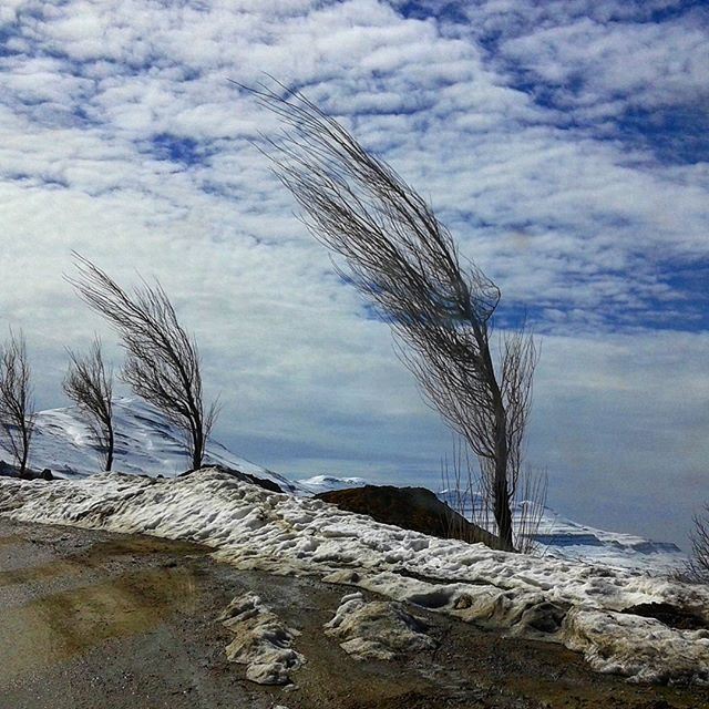 today wintertime snow winddirection treestyle cloudysky (Antoura)
