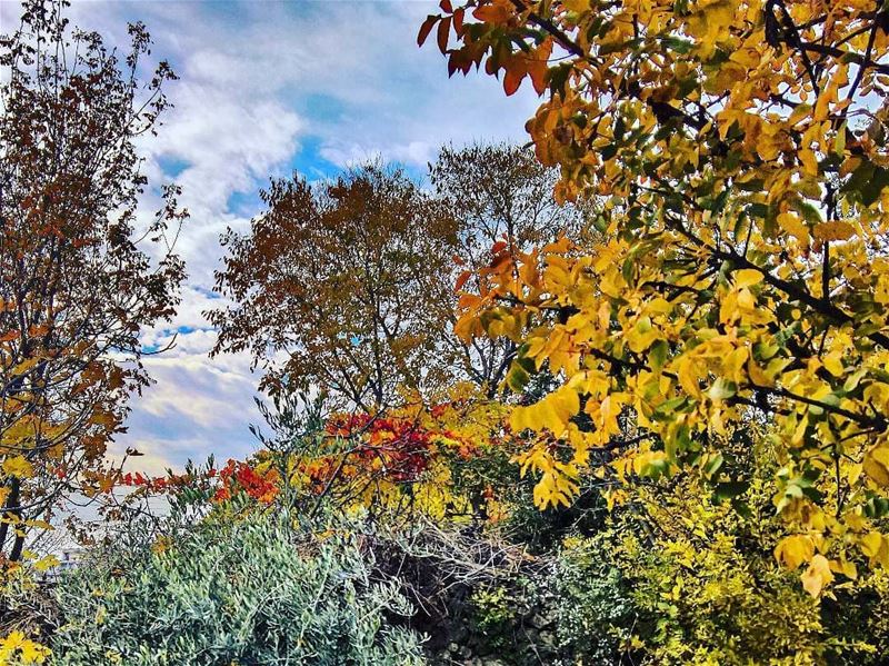 Touches of  autumn🍁 by @firassafwan hermel_city  bekaa  lebanon_pictures... (El Hermel, Béqaa, Lebanon)