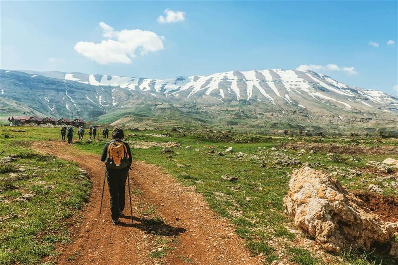 Towards the mountain ____________________________________________________... (El Arz, Liban-Nord, Lebanon)