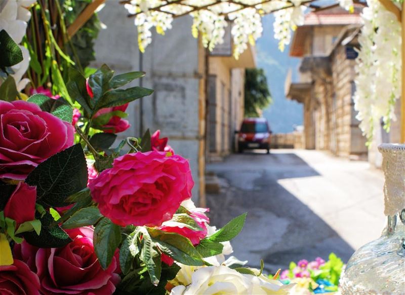 town aesthetics 🌺 (Douma, Liban-Nord, Lebanon)