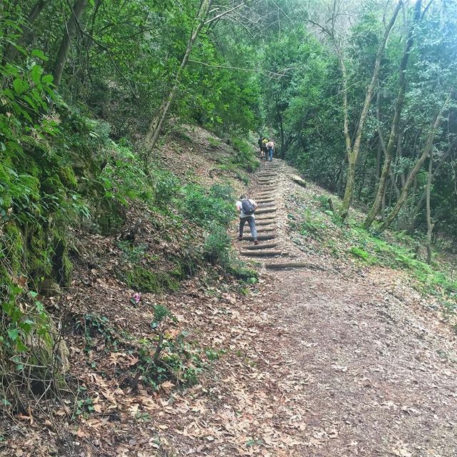 Trail of the...
