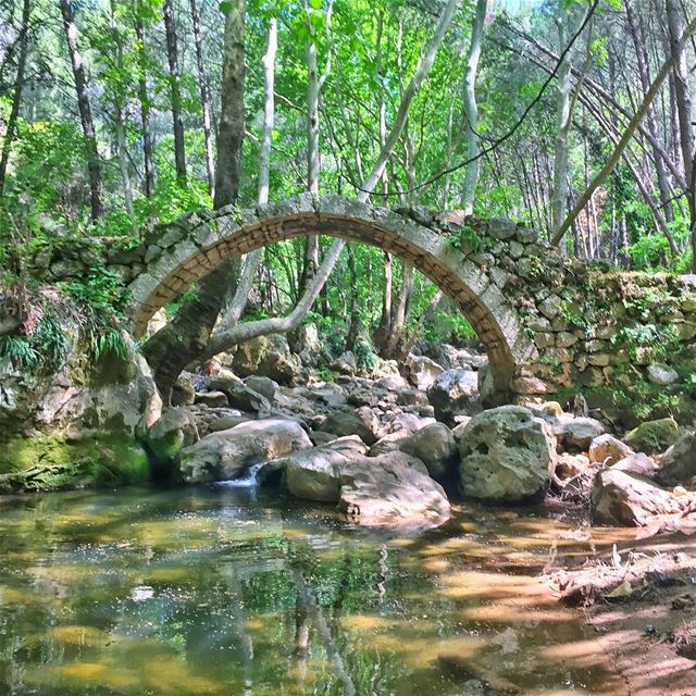 Treasures of days... (Kaftoun Al Koura)