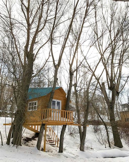 🇱🇧 Tree house in Laklouk,Laklouk has one of the most important ski... (El Laklouk, Mont-Liban, Lebanon)