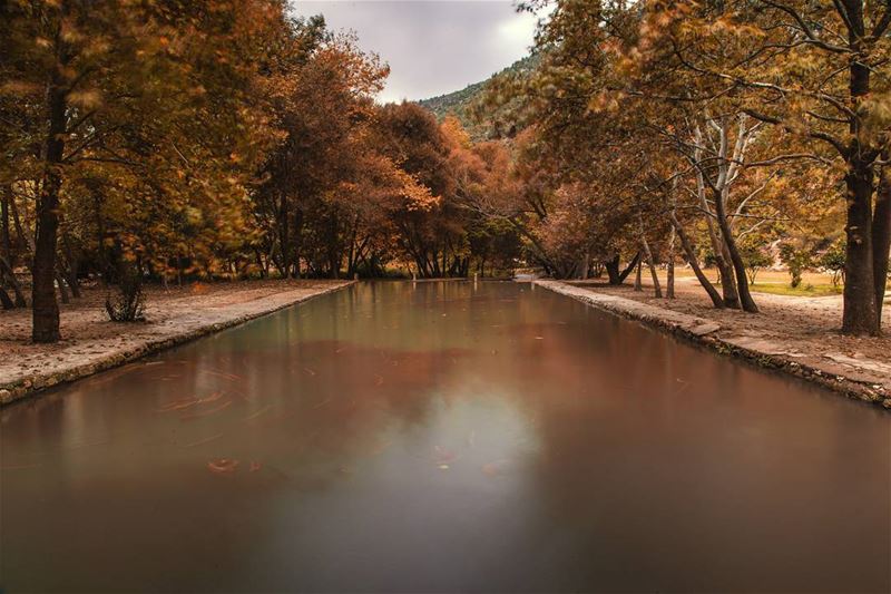 Trees kissed by fire, and a natural olympic pool🍁🍂.... river pool... (Aakar, Liban-Nord, Lebanon)