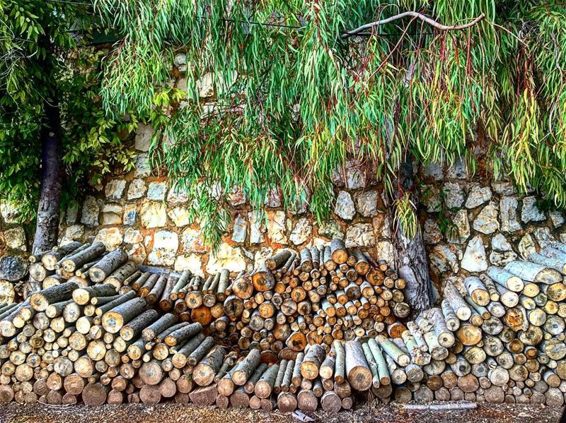 🌳🌳 trees  nature  south  lebanon  lebanon_hdr  lebanonpassion  weather ... (Al Khiyam, Al Janub, Lebanon)