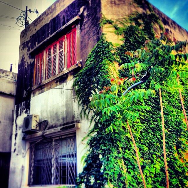 Two Faced  old  buildings  houses  beirut  lebanon  traditional  lebanese ...