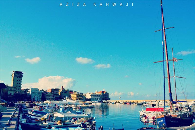 Tyr HarbourFollow your Dreams...They know their... (Tyre Fishermen Port.)