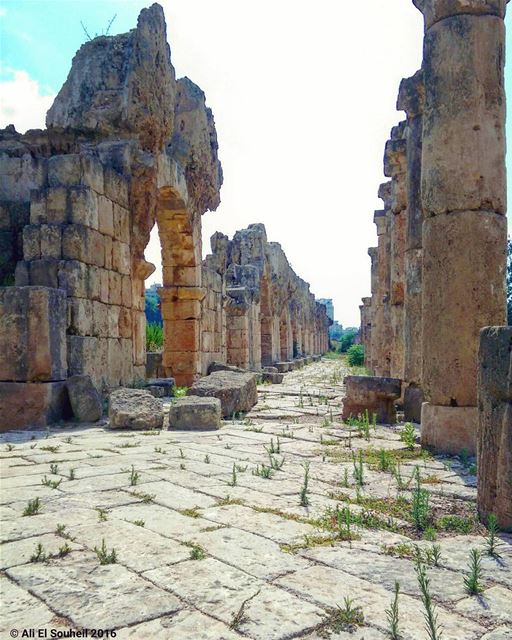  tyre  city  perspective ... (Sur, Al Janub, Lebanon)