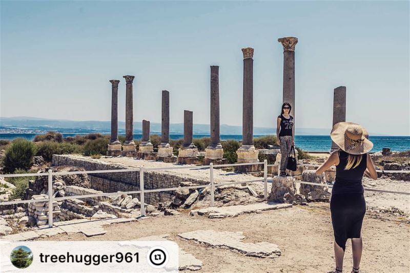 Tyre, Lebanon 💟 lebanon  hiking  nature  outdoors  livelovelebanon ...