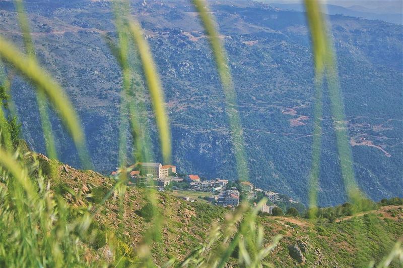 'u cant depend on ur eyes if ur imagination is out of focus...''''... (Qanat Bakish, Mont-Liban, Lebanon)