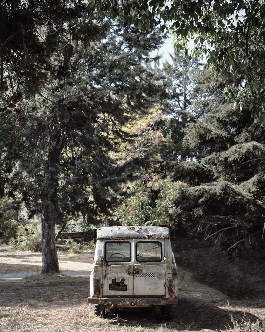 Under the shadows we all rest @livelovemarjeyoun (Marjayoûn, Al Janub, Lebanon)