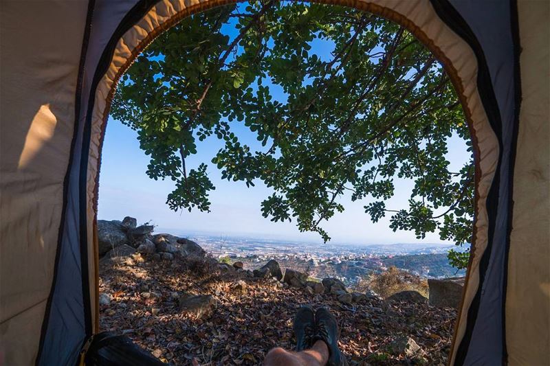 Under tree shade, over Akkar plain  lebanon ... (Bqarzla, Liban-Nord, Lebanon)