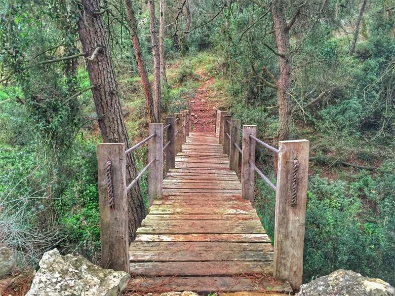 Until you cross the bridge of your insecurities, You can't begin to... (Cornet Chehwan , Montana)