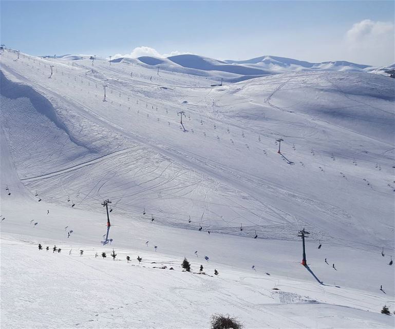 Up & Down ⛷ (Mzaar Ski Resort)