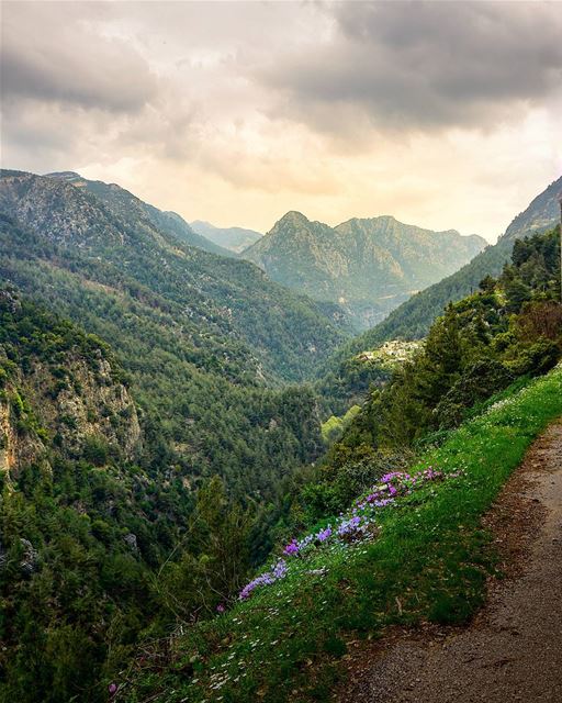  valley  mountains  lebanon  green  nature  snapshot  photo  photos ... (Yahchouch)