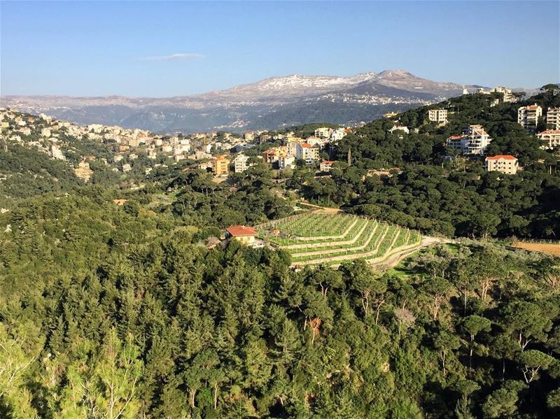 View from above 🌳 a7labaladbil3alam  photo  love  photography  me ... (Mar Chaaya Broumana)