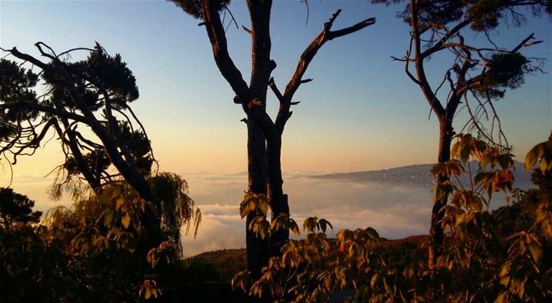 view from above the clouds ☁️ (Dhoûr Ech Choueïr, Mont-Liban, Lebanon)