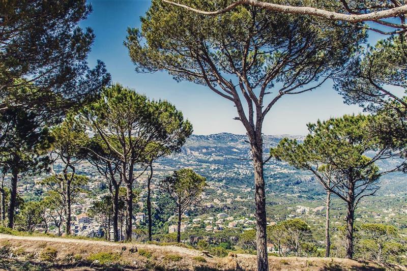 View from Falougha,... (Falougha, Mont-Liban, Lebanon)