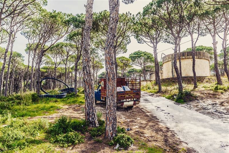 Village scene livelovelebanon  wearelebanon  ig_lebanon  livelovebeirut ... (El Qsaïbé, Mont-Liban, Lebanon)