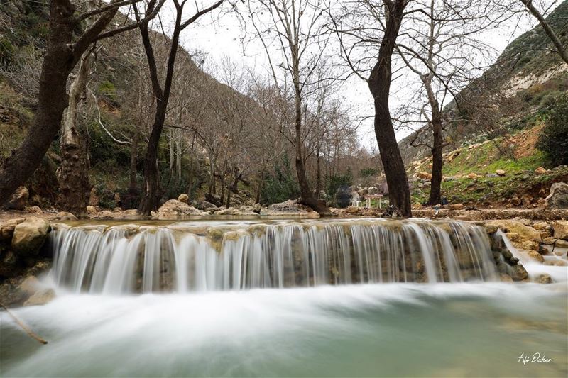 Wadi l akhdar river.04/02/2018... photography photographer... (Nabatîyé)