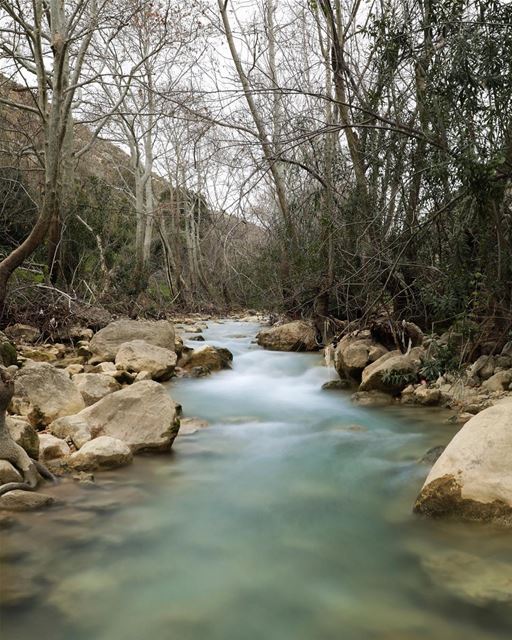 Wadi l akhdar river.04/02/2018... photography photographer... (Kfar Roummâne, Beyrouth, Lebanon)